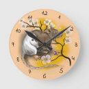 Recherche de rats horloges Rongeur