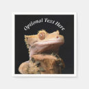Recherche de geckos serviettes Reptile