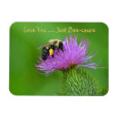 Recherche de juste magnets Mignon