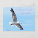 Recherche de flambant cartes postales Oiseau