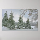 Recherche de neige couverte posters Paysage