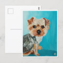 Recherche de yorkshire terrier chien cartes postales Portrait