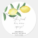 Recherche de foudre autocollants Agrumes