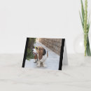 Recherche de chien basset hound vœux cartes Animal