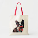 Recherche de bostons Chien
