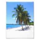 Recherche de cubains posters Tropical