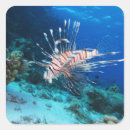 Recherche de eau salée autocollants Vie marine
