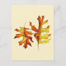 Recherche de belle nature cartes postales Aquarelle