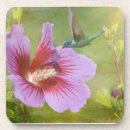 Recherche de collecteur dessous de verres Nature