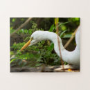 Recherche de faune puzzles Pour enfants
