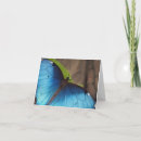 Recherche de papillon bleu de morpho vœux cartes Ailes