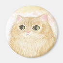Recherche de chat persan magnets Mignon