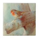 Recherche de rouge gorge carreaux Nature