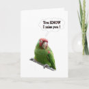 Recherche de conures vœux cartes Perroquet