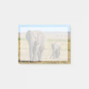 Recherche de savanne post its Savane