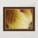 Recherche de torches cartes postales Pour elle