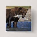 Recherche de ours brun badges Parc