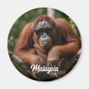 Recherche de sumatra magnets Malaisie