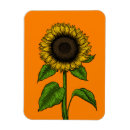 Recherche de vecteur floral magnets Nature
