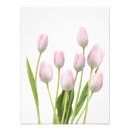 Recherche de tulipe rose posters Pour eux