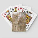 Recherche de lion jeux de cartes Animaux