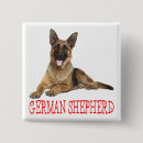 Recherche de coquelicot badges Chien