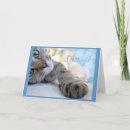 Recherche de chat idiot vœux cartes Mignon
