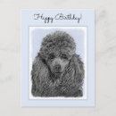 Recherche de peinture de caniche cartes postales Chien