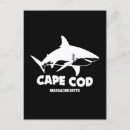 Recherche de grand requin blanc cartes postales Requins