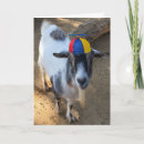 Recherche de kids animal vœux cartes Funny