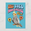 Recherche de parrot cartes postales Perroquet