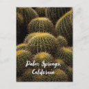 Recherche de macro cartes postales Succulent