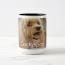 Recherche de cockapoo tasses Dog