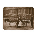 Recherche de mûr magnets Photographie
