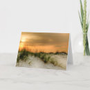 Recherche de mouette vœux cartes Photographie