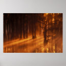 Recherche de parc du sud art Forêt