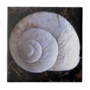 Recherche de escargot carreaux Motif