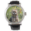 Recherche de yorkshire terrier accessoires Animal