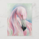 Recherche de flamant exotique cartes postales Tropical