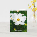 Recherche de cosmos vœux cartes D'anniversaire