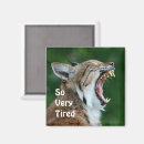 Recherche de bâillon magnets Animal