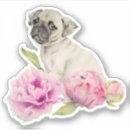 Recherche de chiot blanc autocollants Chien