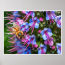 Recherche de pollinisation posters Nature