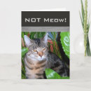 Recherche de drôle de chat vœux cartes Ami