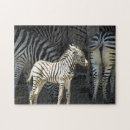 Recherche de rayures de zèbre puzzles Mignon