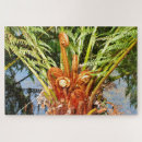 Recherche de fougère puzzles Vert