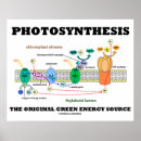 Recherche de chloroplaste posters Biologie