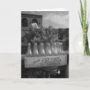 Recherche de antiquité photographie Vintage