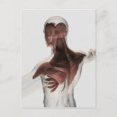 Recherche de tendon cartes postales Illustrations biomédicales