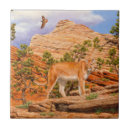 Recherche de cougar carreaux Lion de montagne